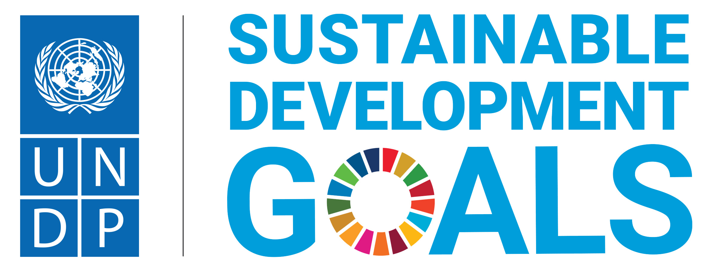 UNDP SDG logo